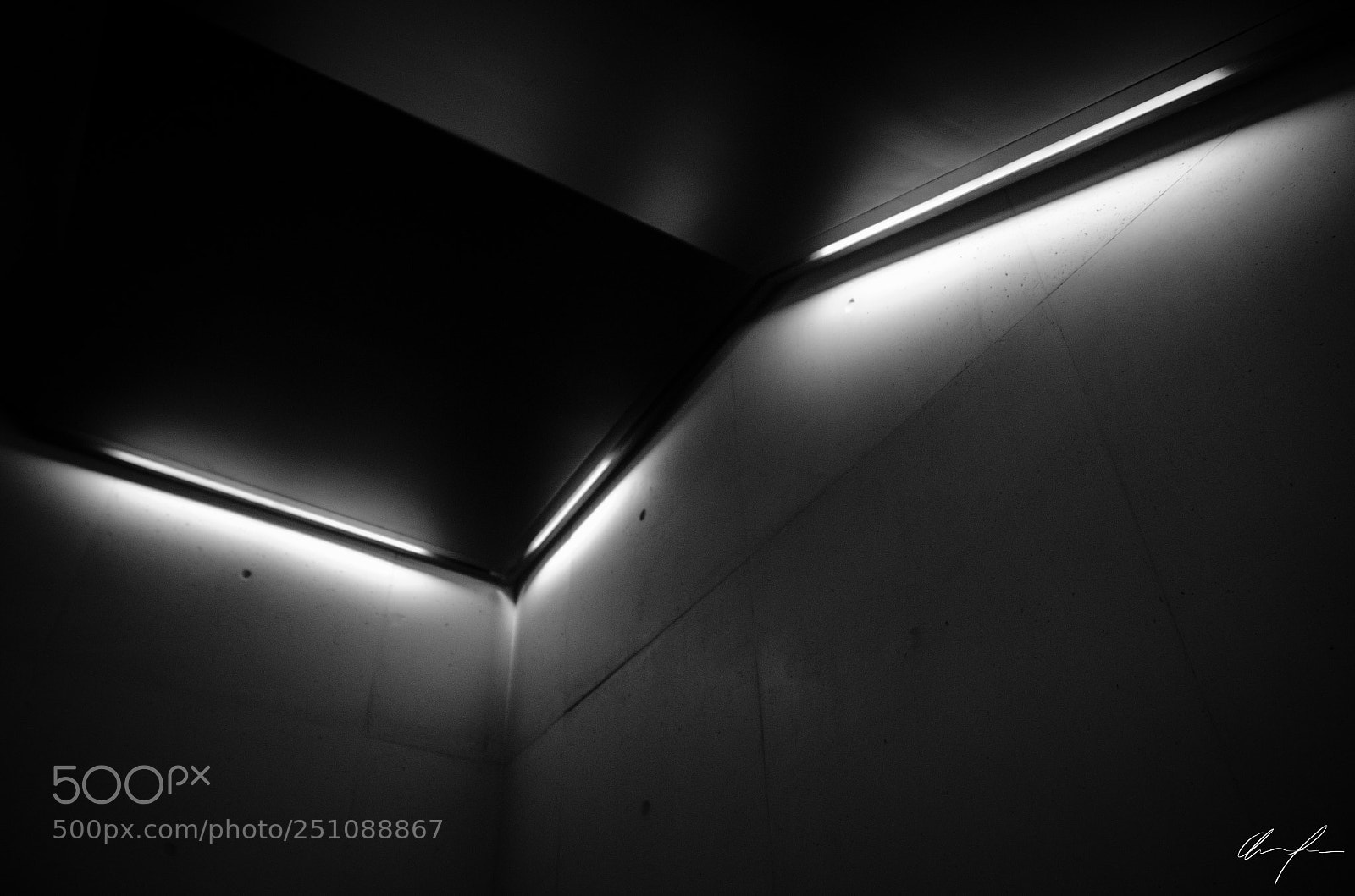 Nikon D5100 sample photo. Lights photography