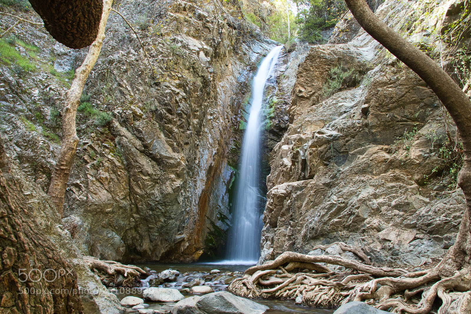 Nikon D500 sample photo. Untitled photography