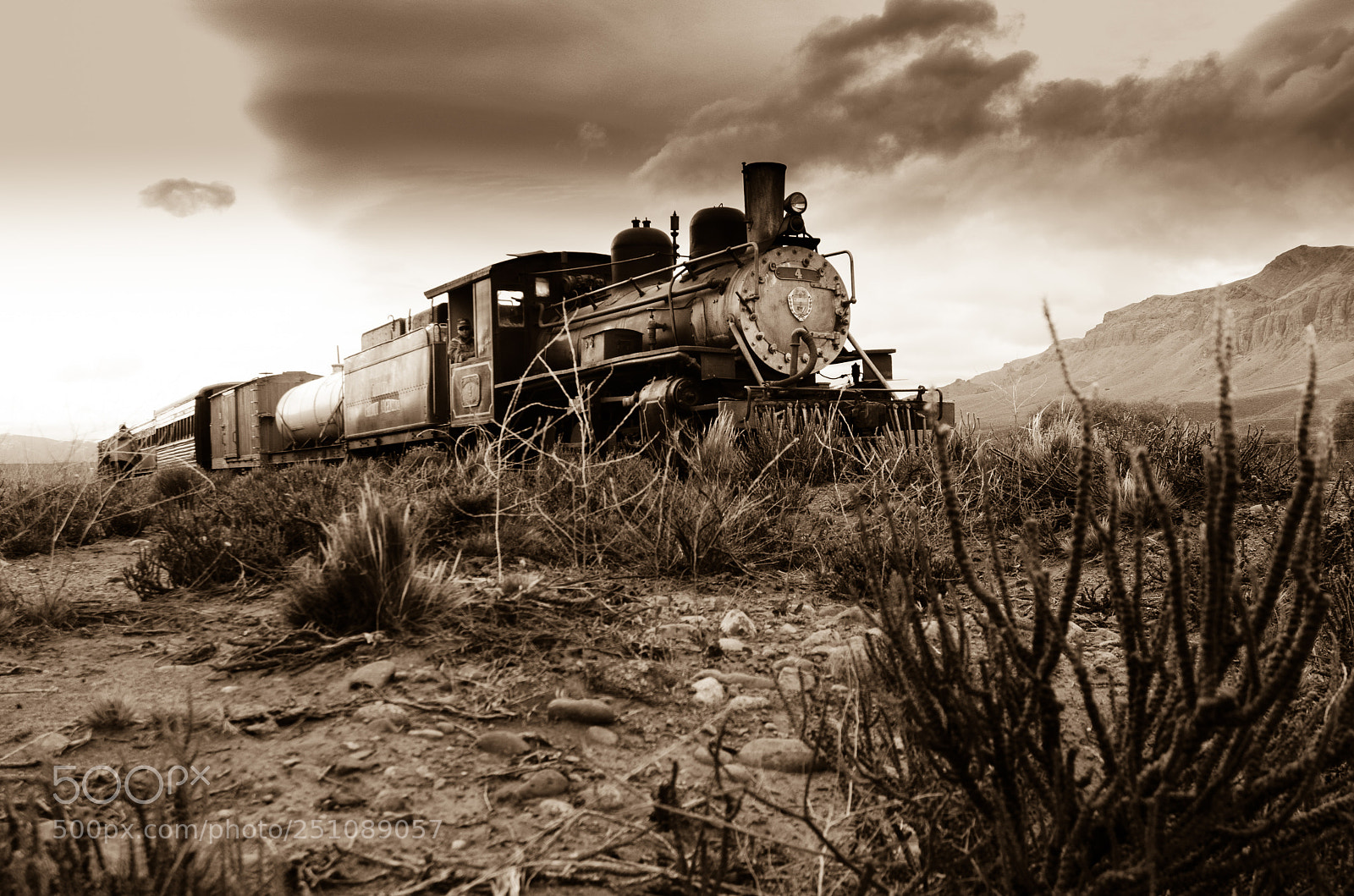 Nikon D7000 sample photo. La trochita en el photography