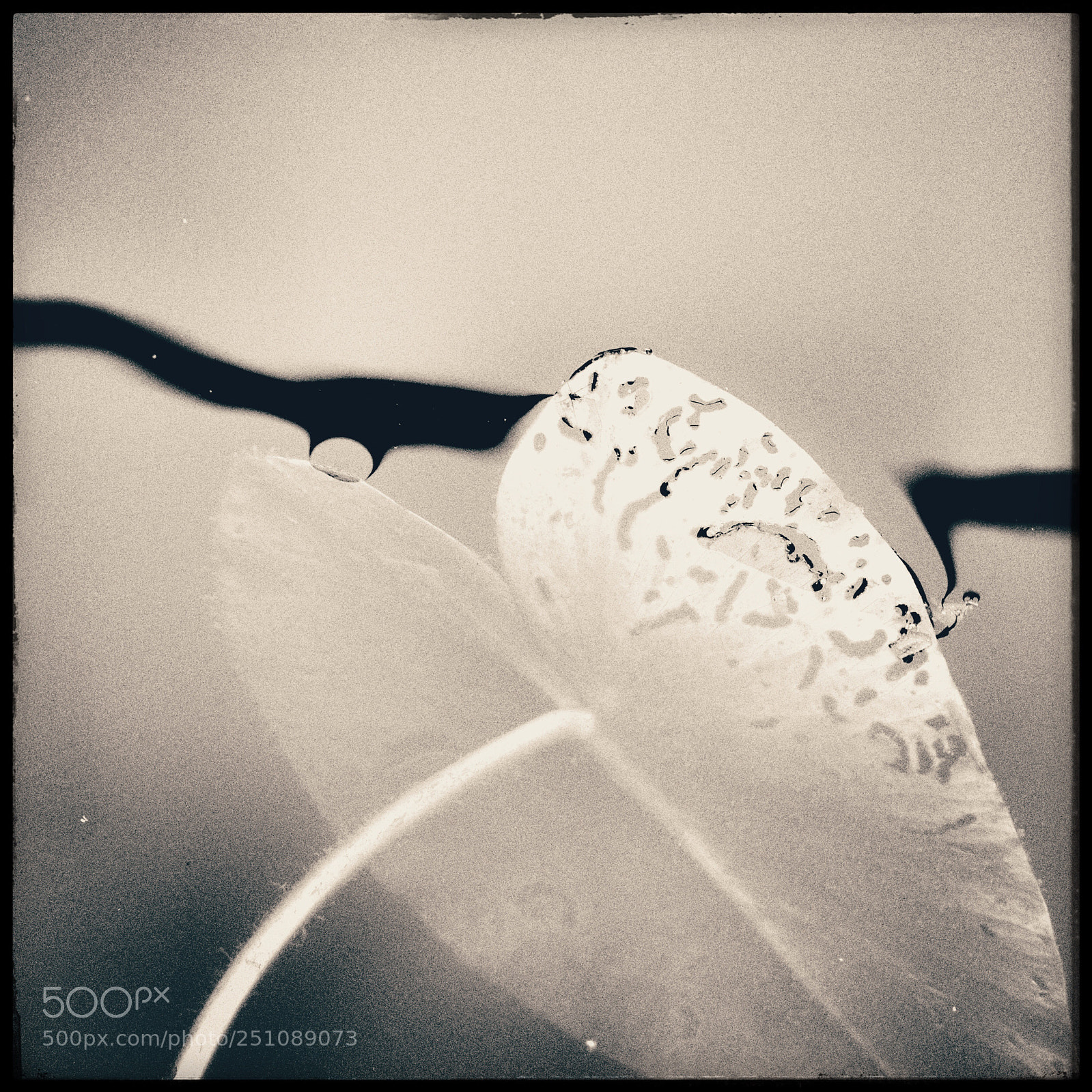Fujifilm X-T1 sample photo. Leaf photography