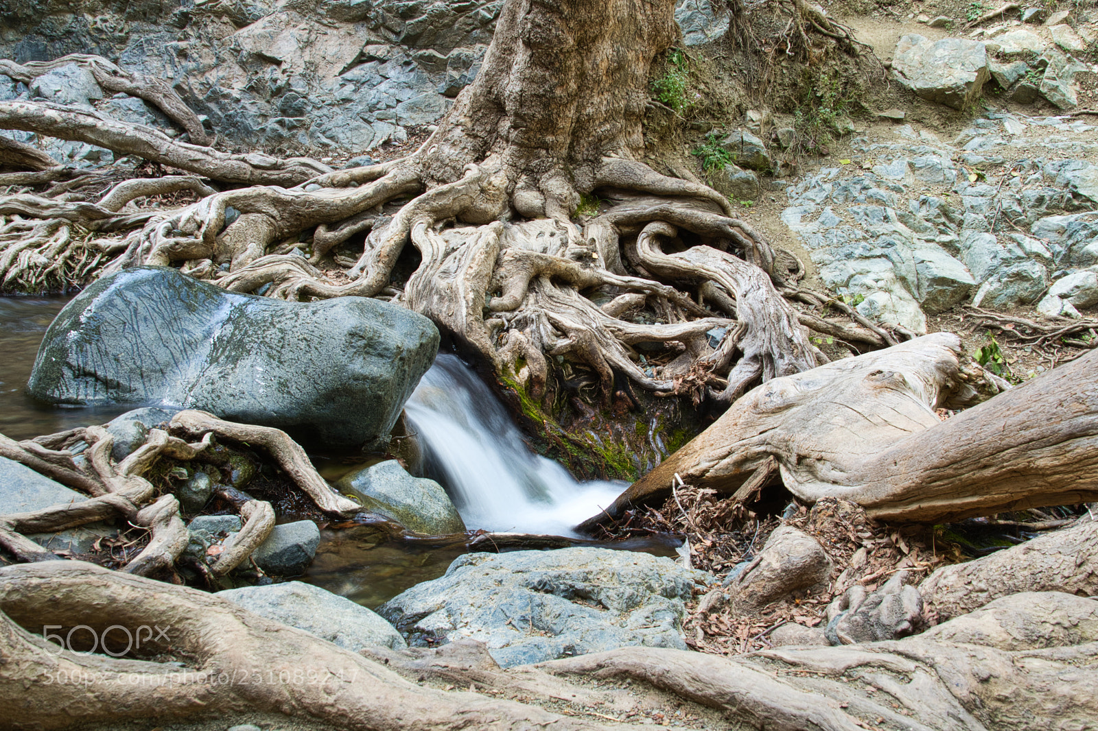 Nikon D500 sample photo. Untitled photography
