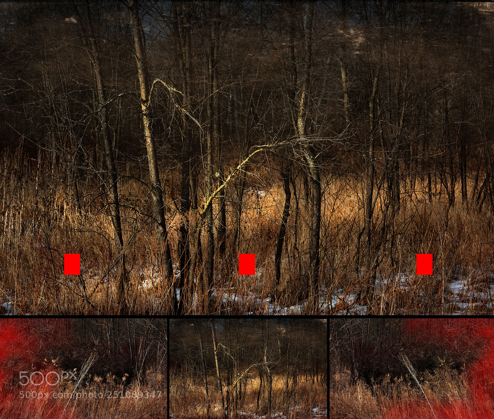 Nikon D7100 sample photo. Red with landscape photography