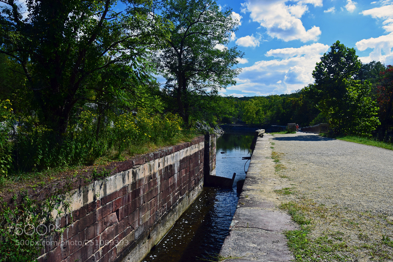 Nikon D5300 sample photo. Billy goat lock photography