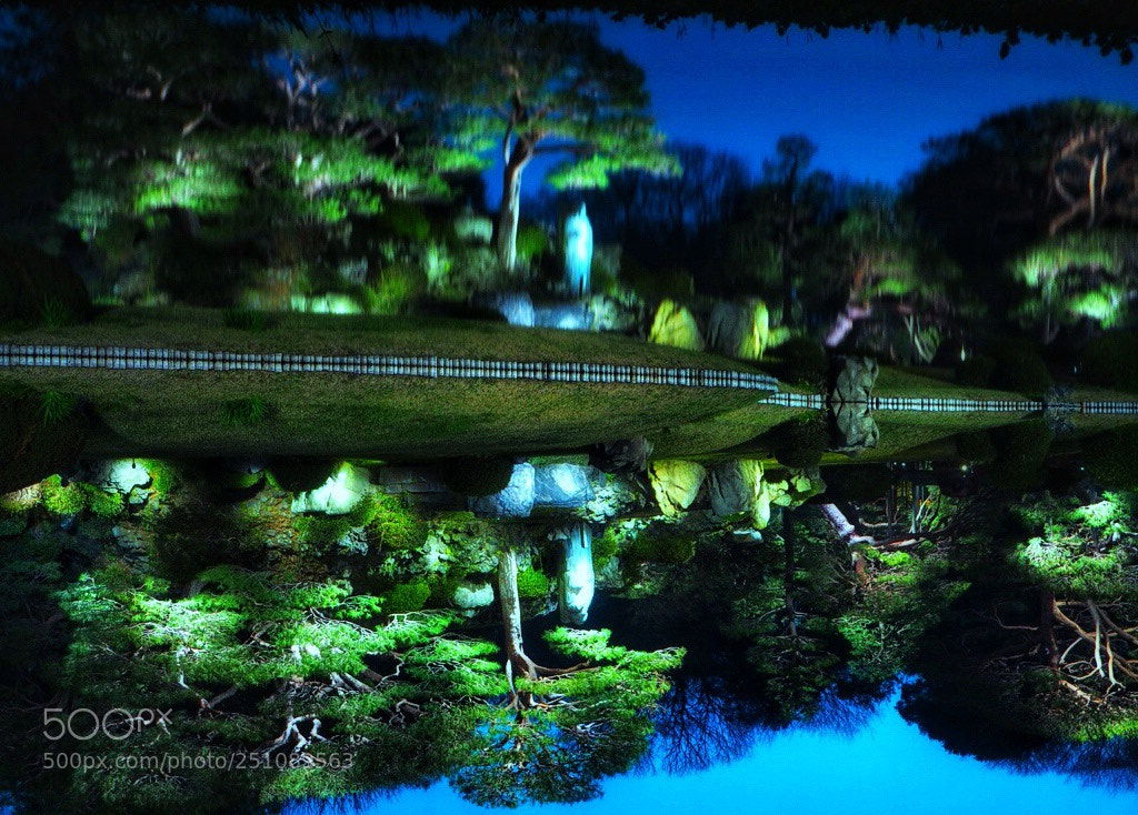 Olympus OM-D E-M10 II sample photo. A reflection of a photography