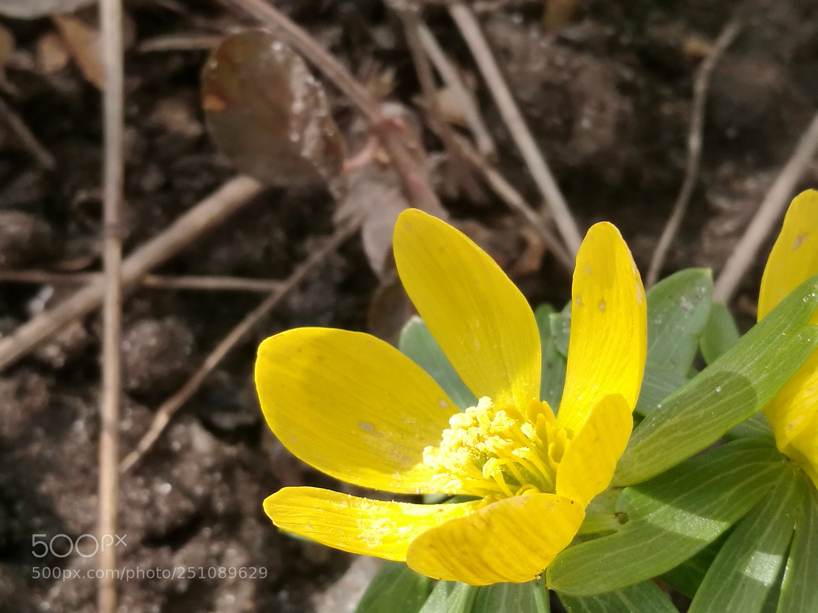 HUAWEI P9 sample photo. Untitled photography