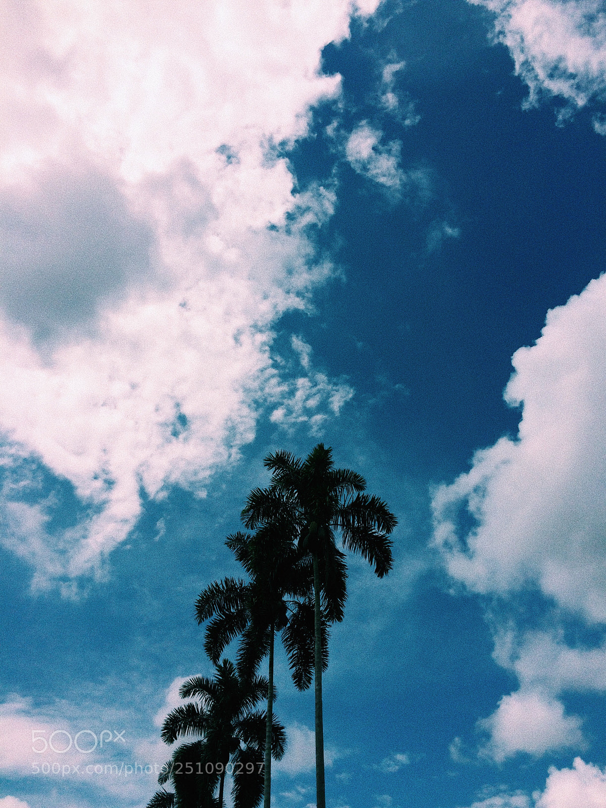 Apple iPhone 5s sample photo. Untitled photography