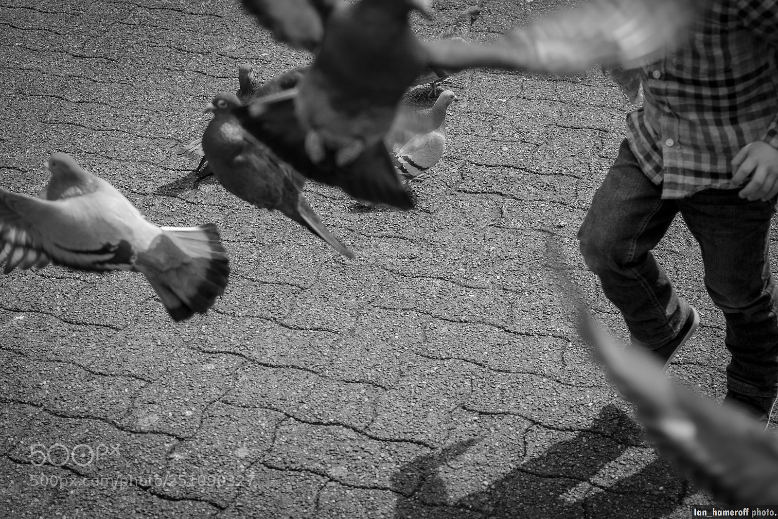 Fujifilm X-T2 sample photo. Scram! photography