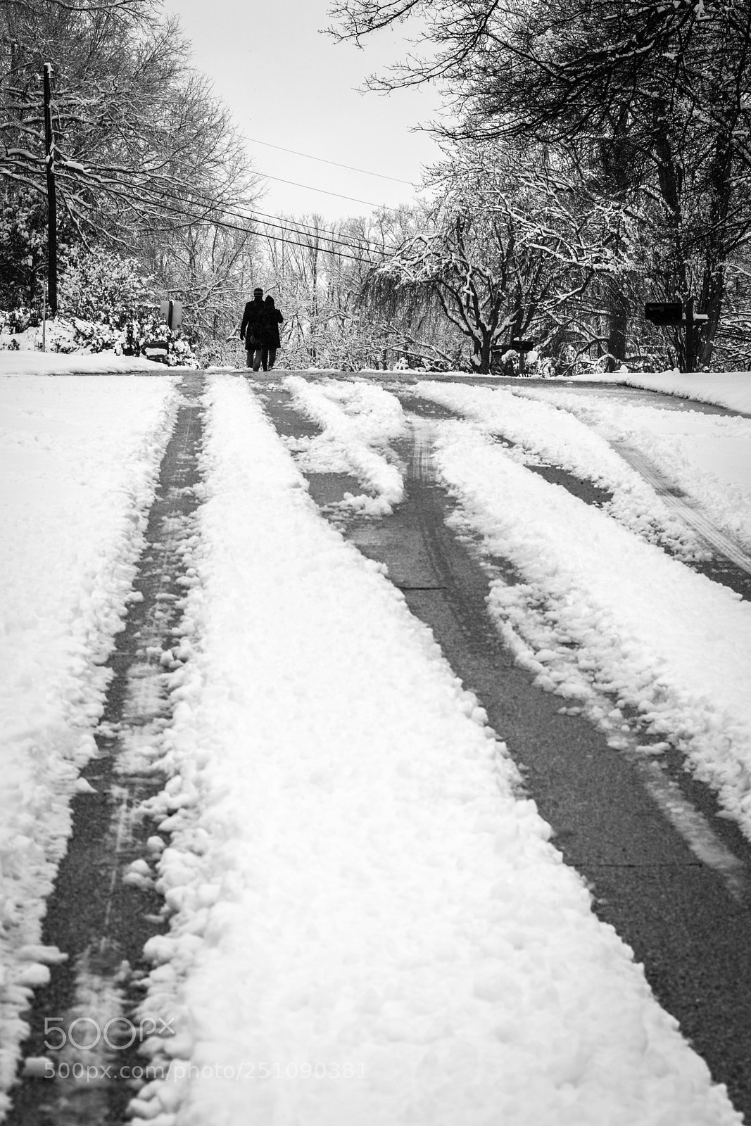 Nikon D850 sample photo. Winter photography