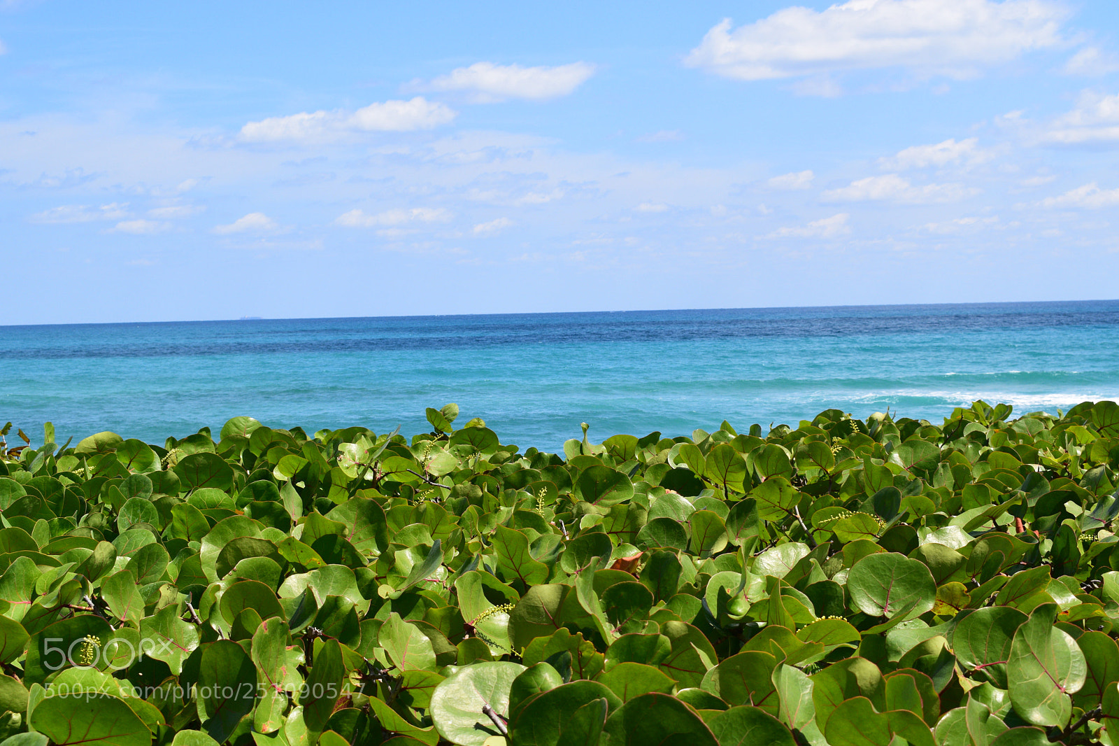 Nikon D3300 sample photo. Perfect combination photography