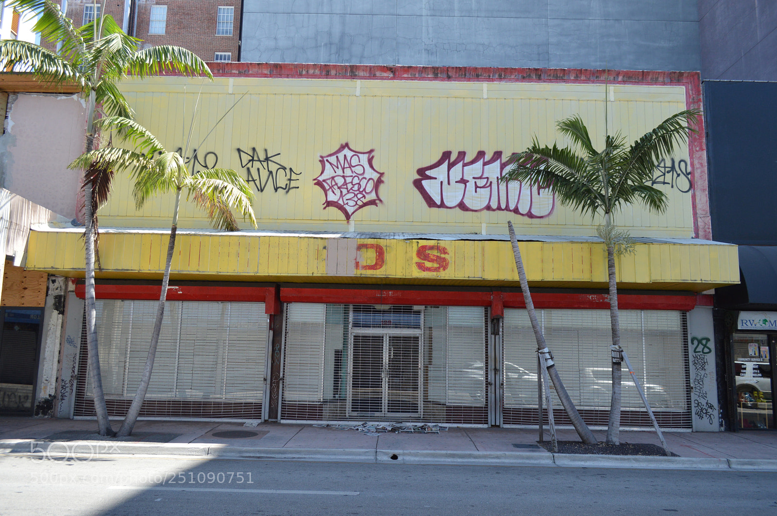 Nikon D3200 sample photo. S.o. photography