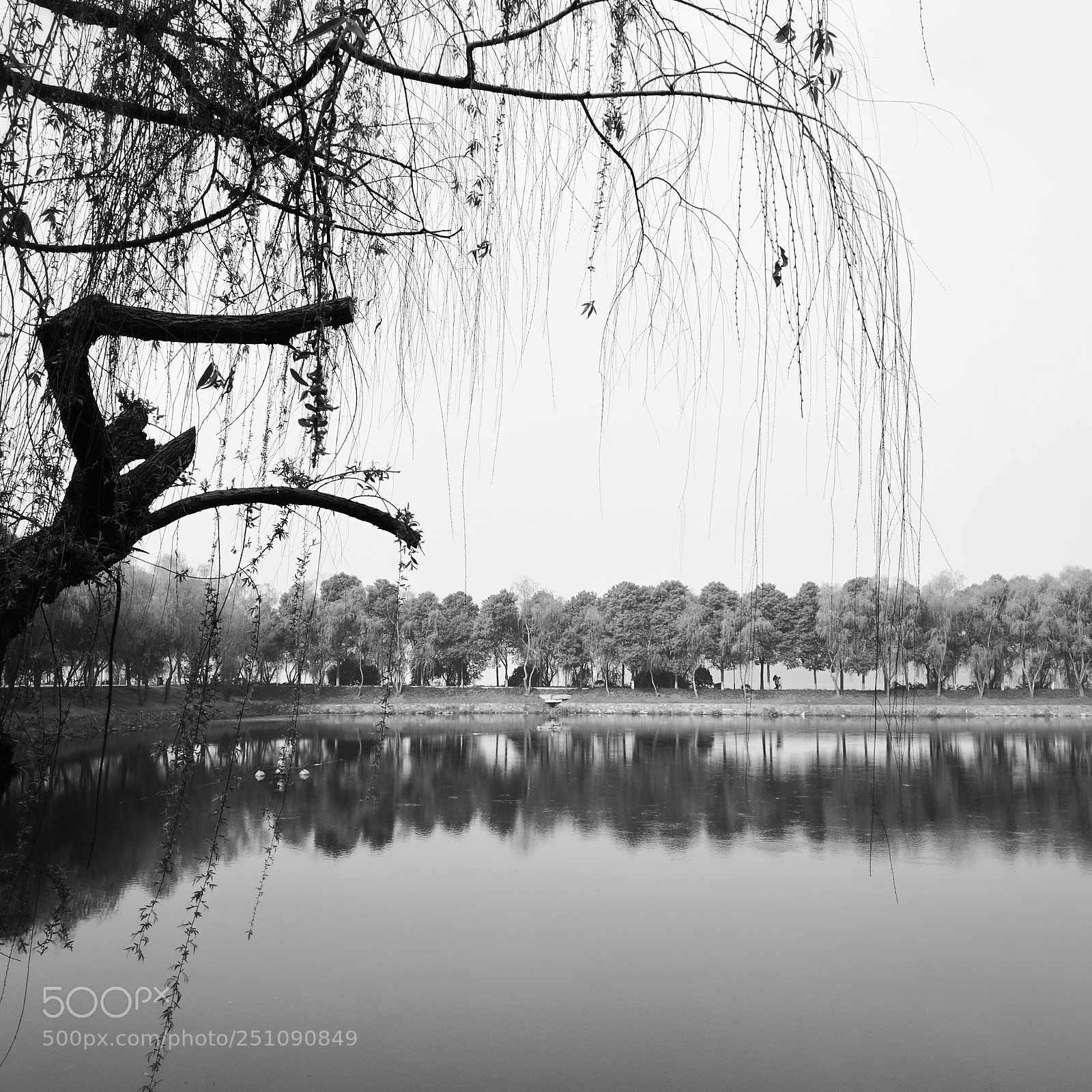 HUAWEI P9 sample photo. Untitled photography