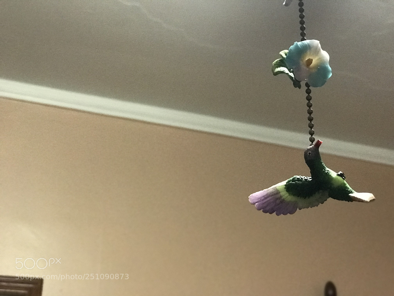Apple iPhone 7 Plus sample photo. The bird photography