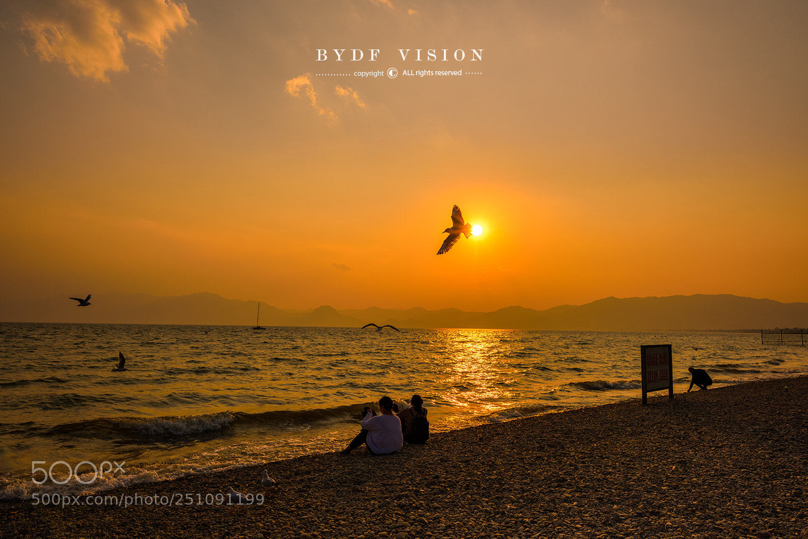 Nikon D810 sample photo. Untitled photography