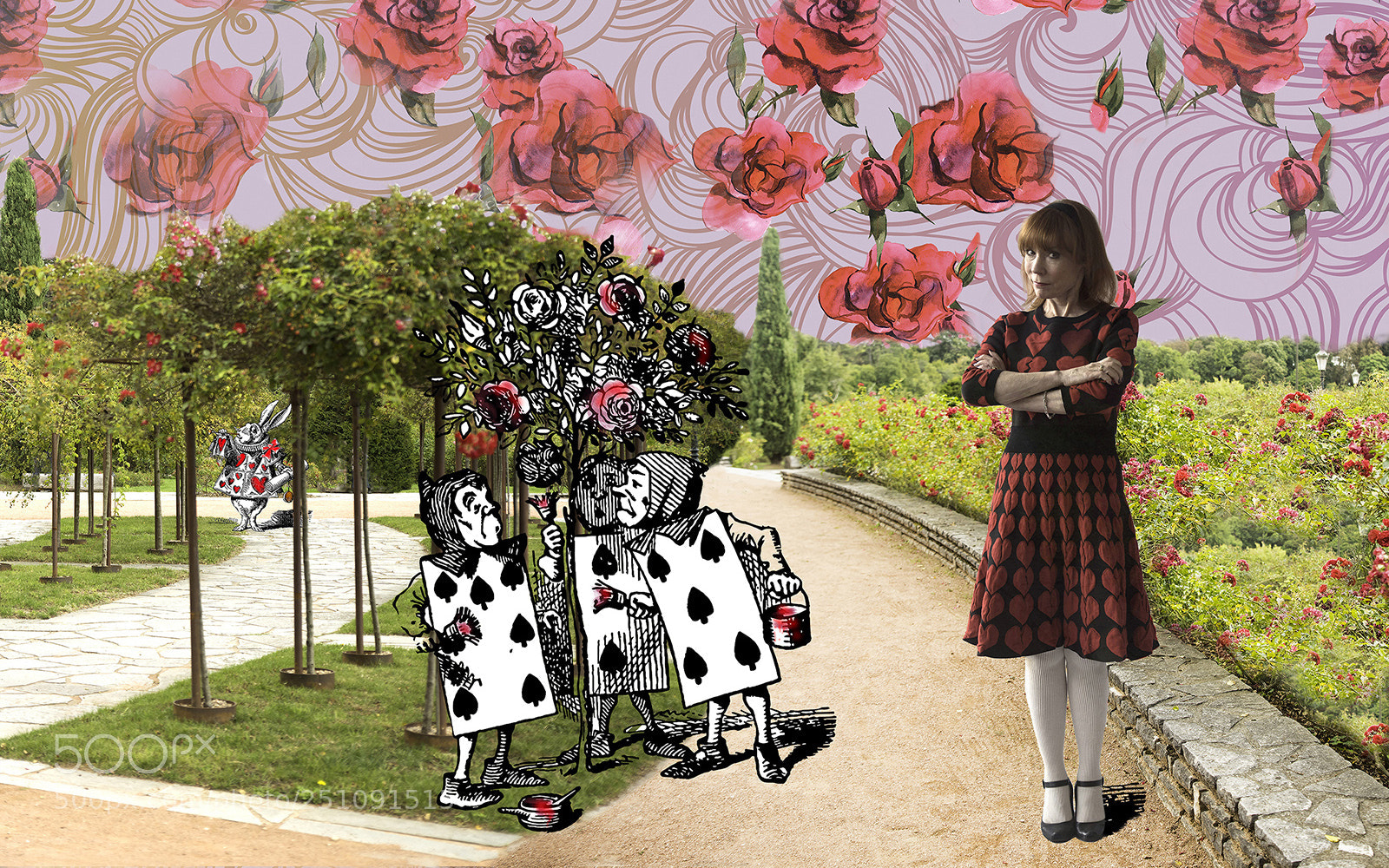 Nikon D810 sample photo. Go ask alice when photography