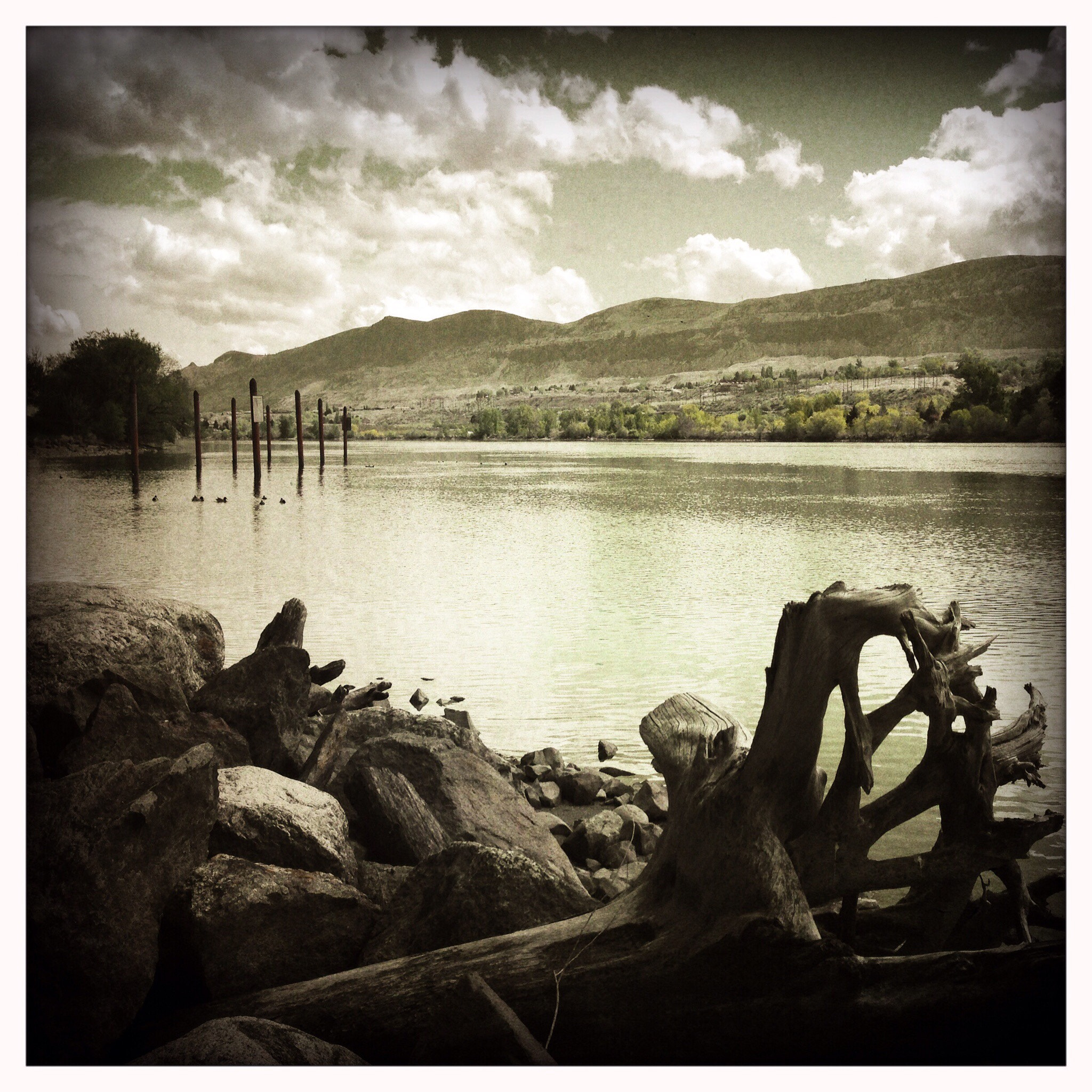 Hipstamatic 273 sample photo. Washington beauty photography