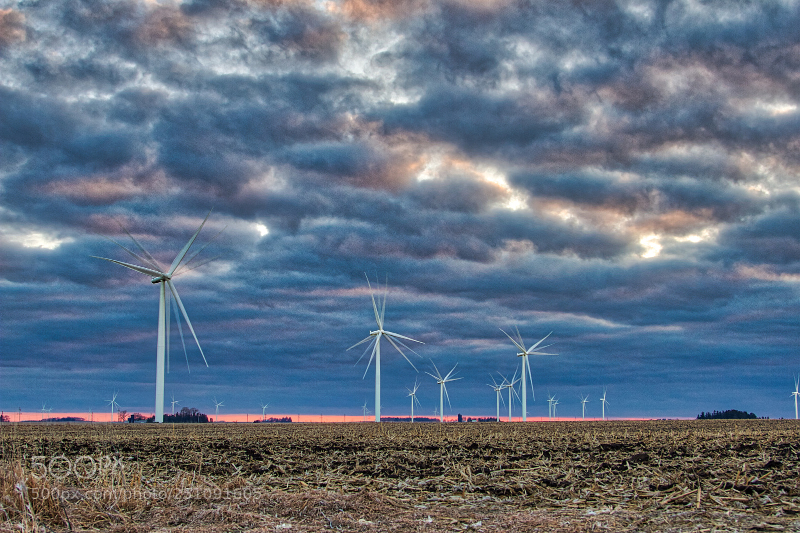 Canon EOS 7D + Canon EF 24-105mm F4L IS USM sample photo. Wind photography