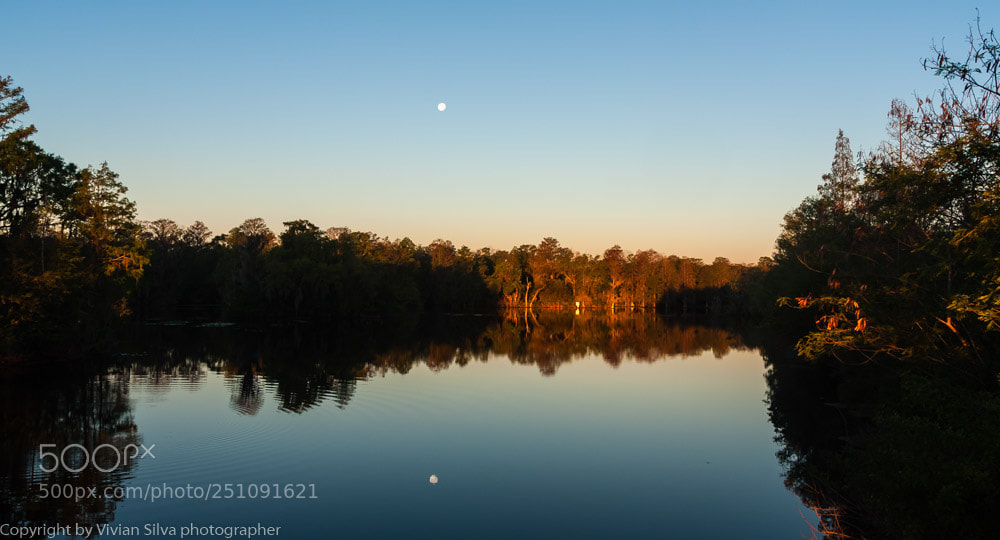 Canon EOS 40D sample photo. Moonlight photography