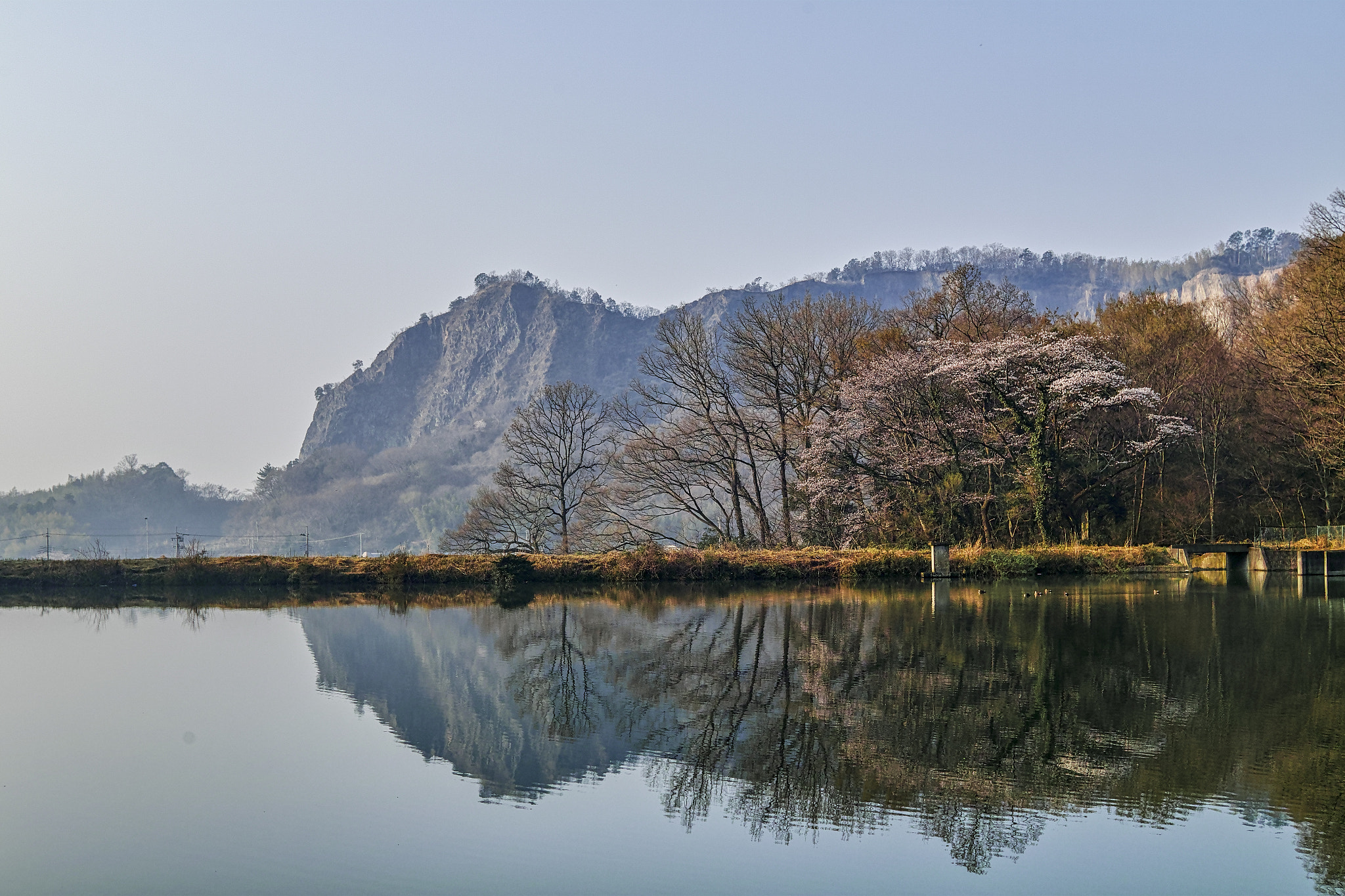 Sigma sd Quattro sample photo. Mt.iwafune photography