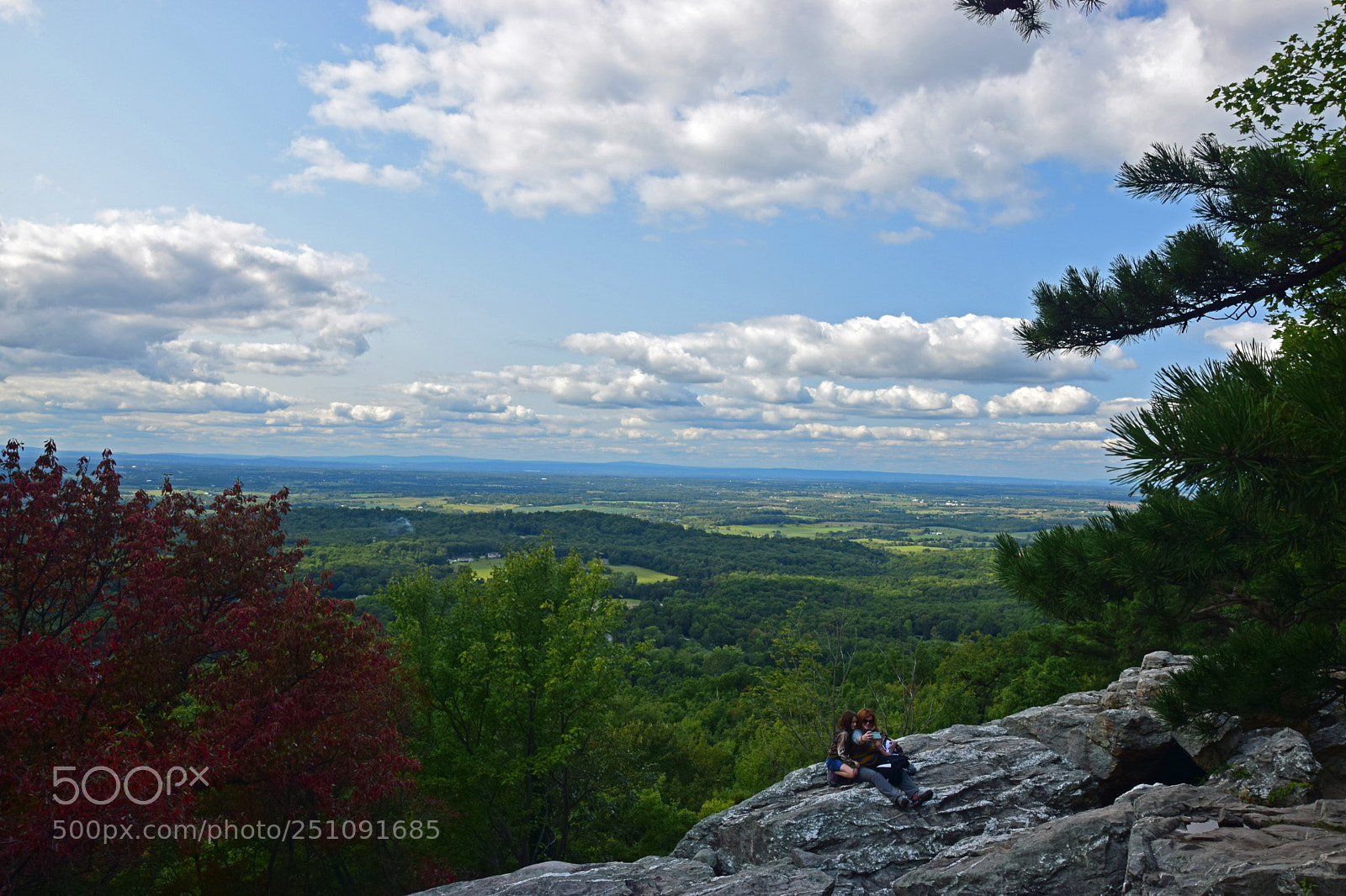 Nikon D5300 sample photo. Bear's den photography