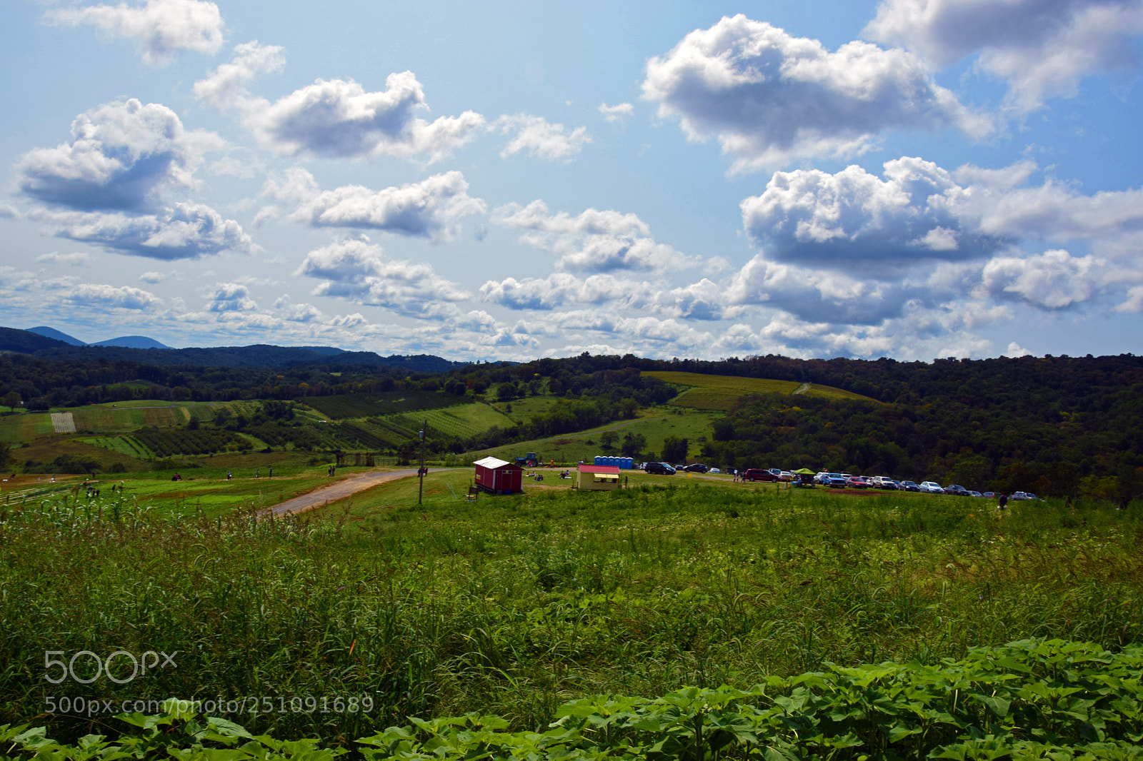 Nikon D5300 sample photo. Hollin's farm photography