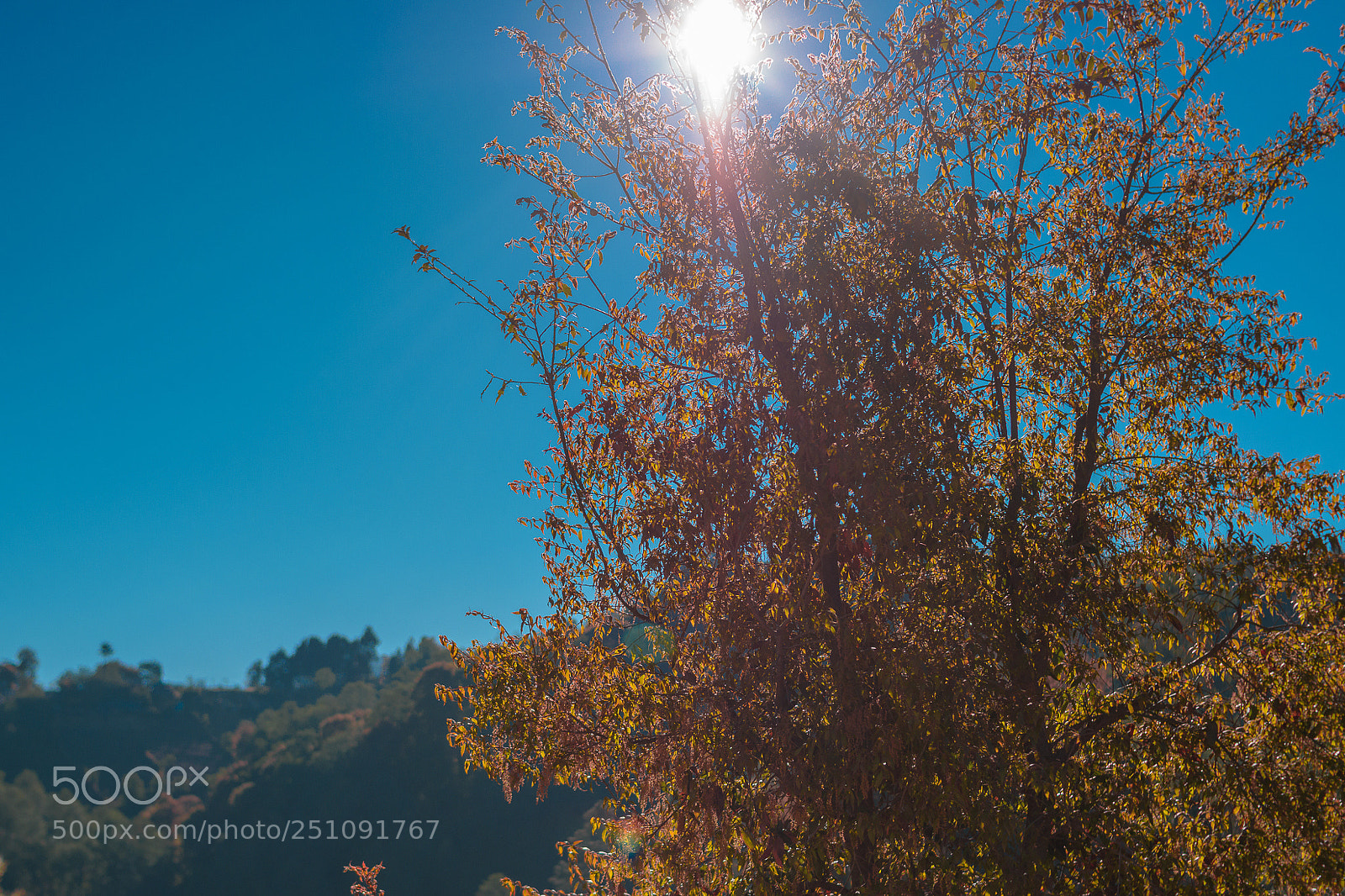 Nikon D5500 sample photo. Sunrise photography