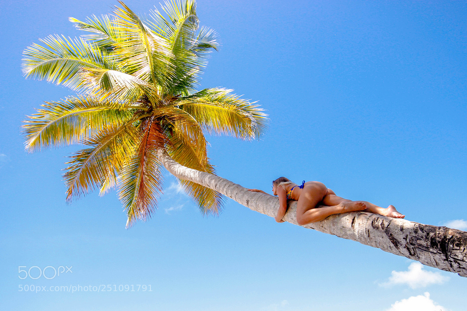 Canon EOS 600D (Rebel EOS T3i / EOS Kiss X5) sample photo. Climb that tree photography