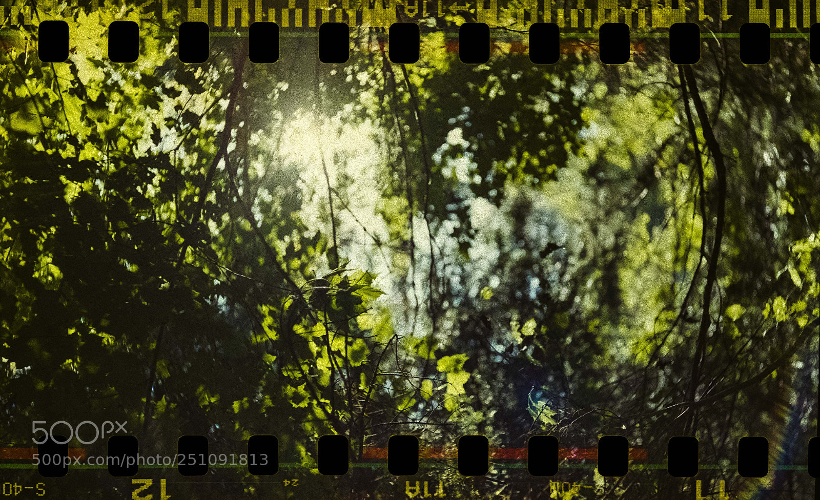 Canon EOS 7D Mark II sample photo. End of the tunnel photography