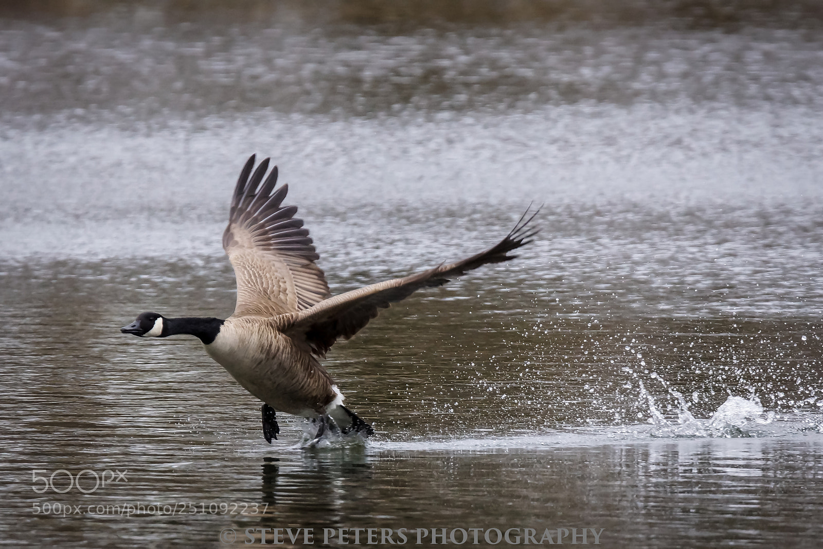 Sony SLT-A77 sample photo. Takeoff photography