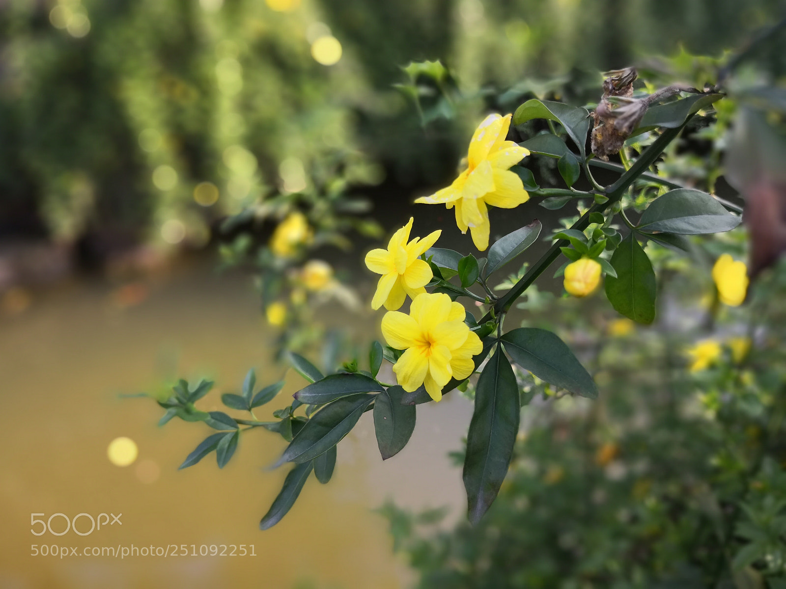 HUAWEI Mate 10 sample photo. Untitled photography