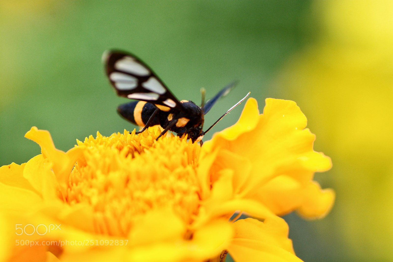 Nikon D7100 sample photo. Untitled photography