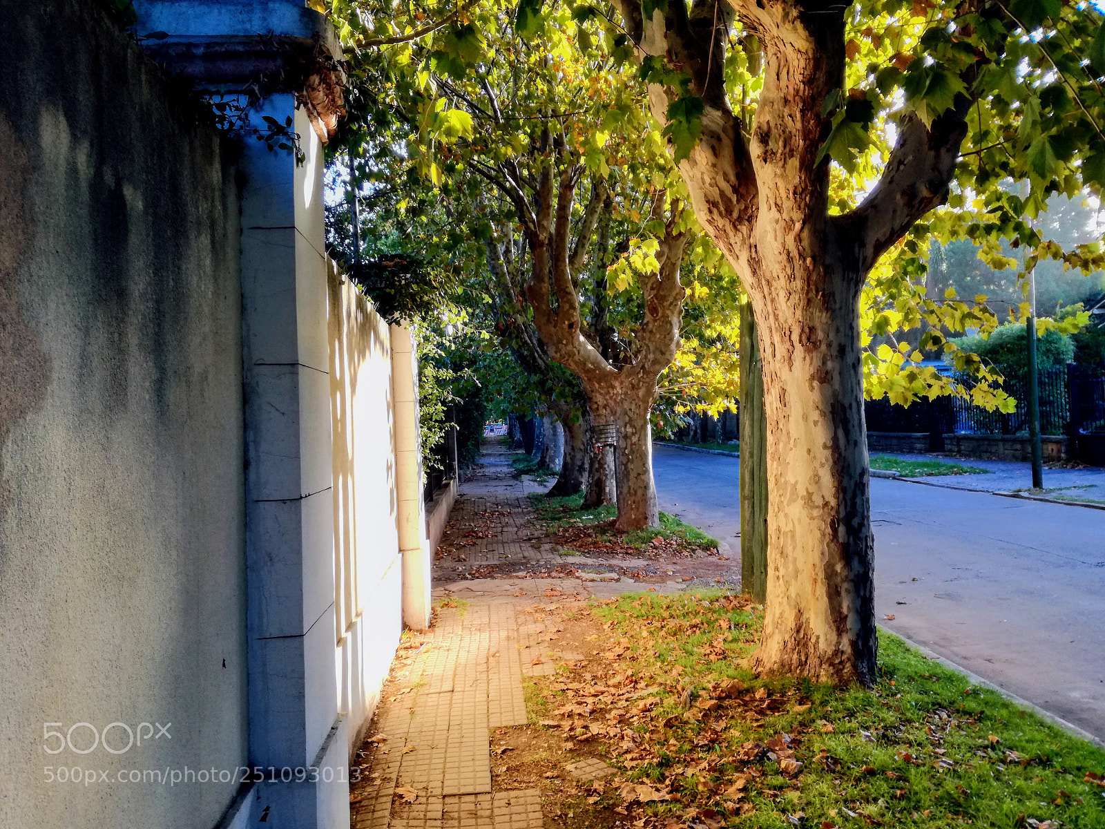 HUAWEI P9 LITE sample photo. Otoño temperley photography