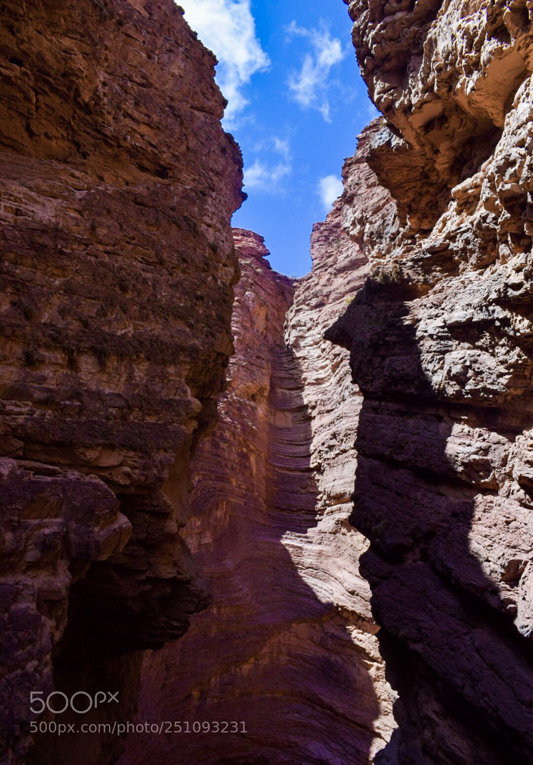 Nikon D5300 sample photo. Untitled photography