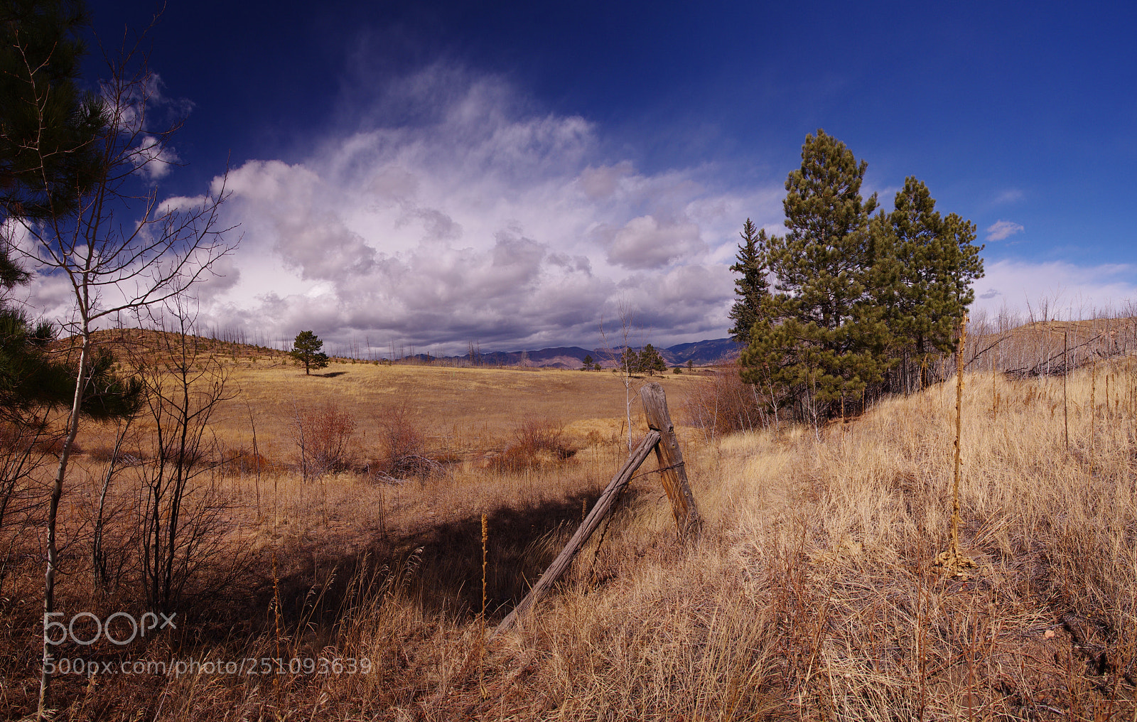 Pentax K-5 IIs sample photo. Untitled panorama photography