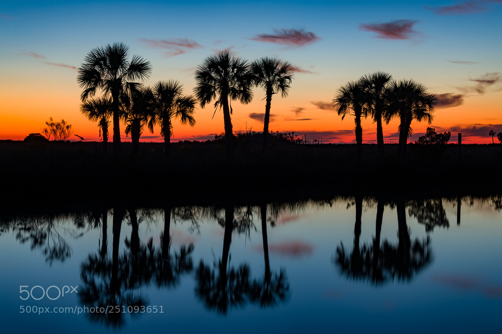 Nikon D850 sample photo. Aripeka sunset photography