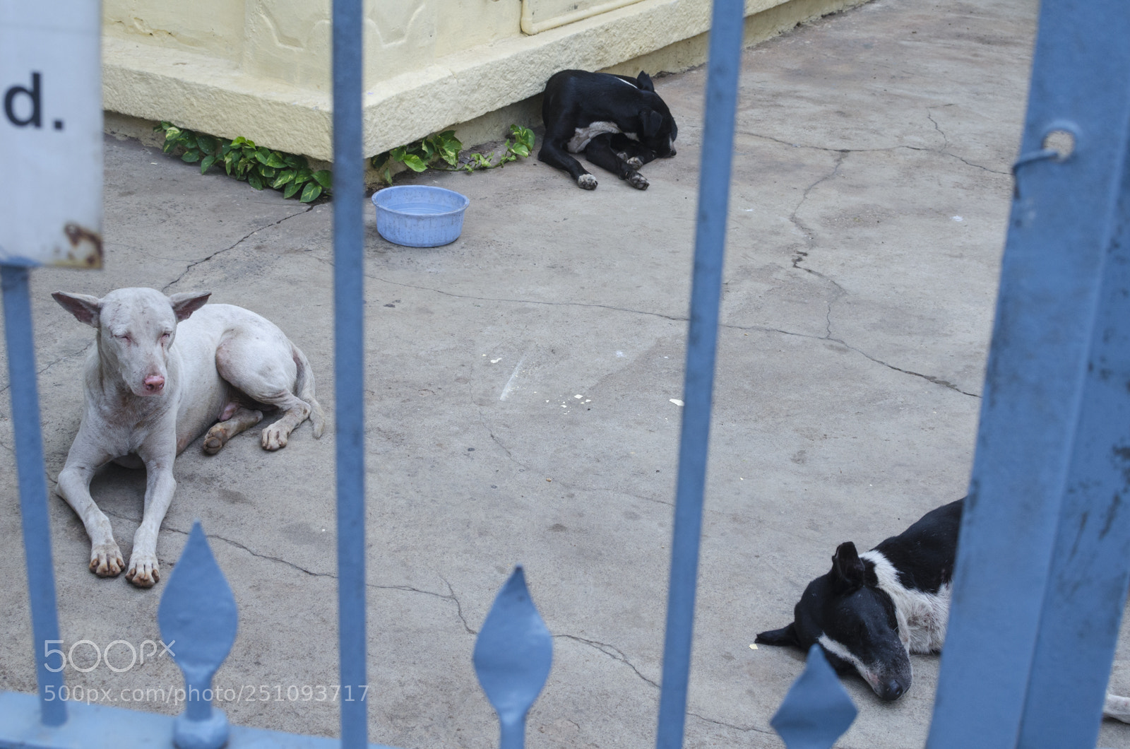 Nikon D5100 sample photo. Nmaphotographs photography