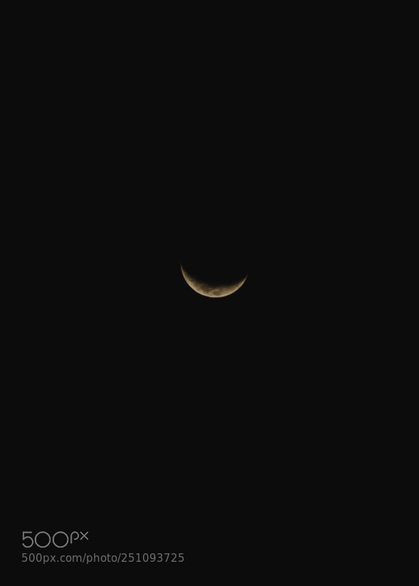 Nikon D5100 sample photo. Smile photography