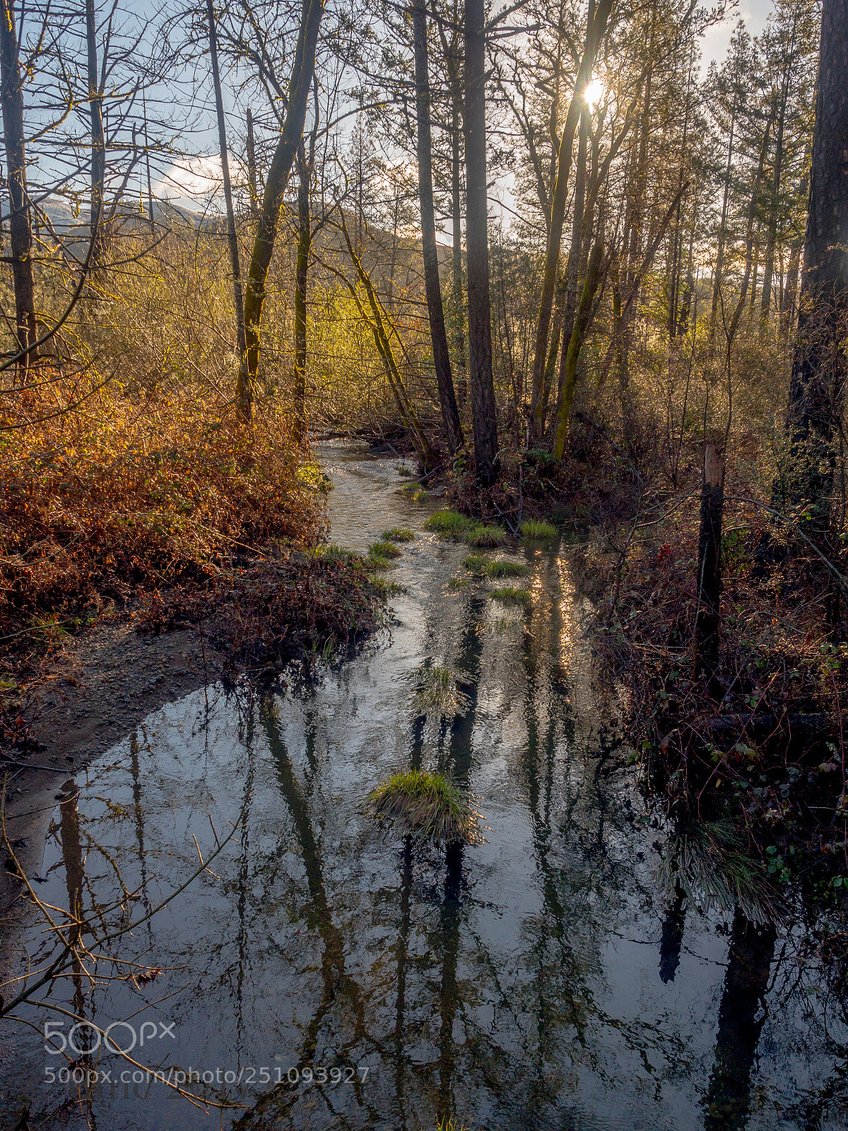 Olympus OM-D E-M5 II sample photo. River shadows photography