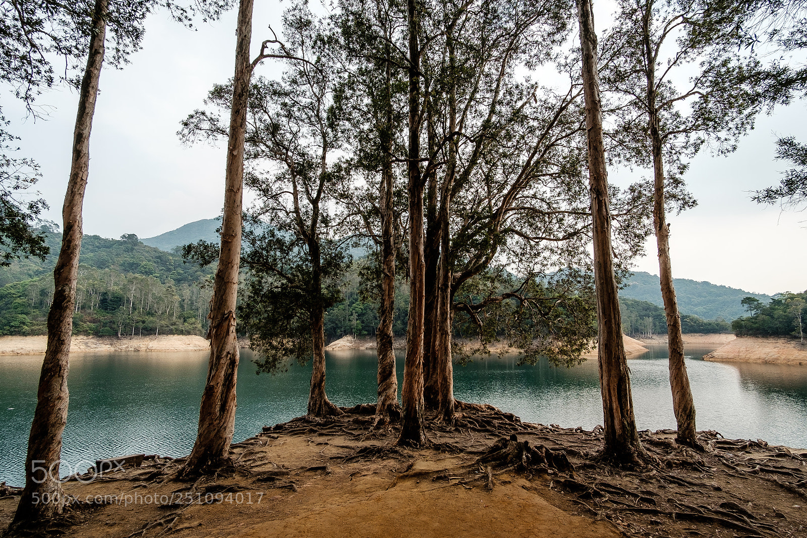 Fujifilm X-T10 sample photo. Shing mun reservoir photography