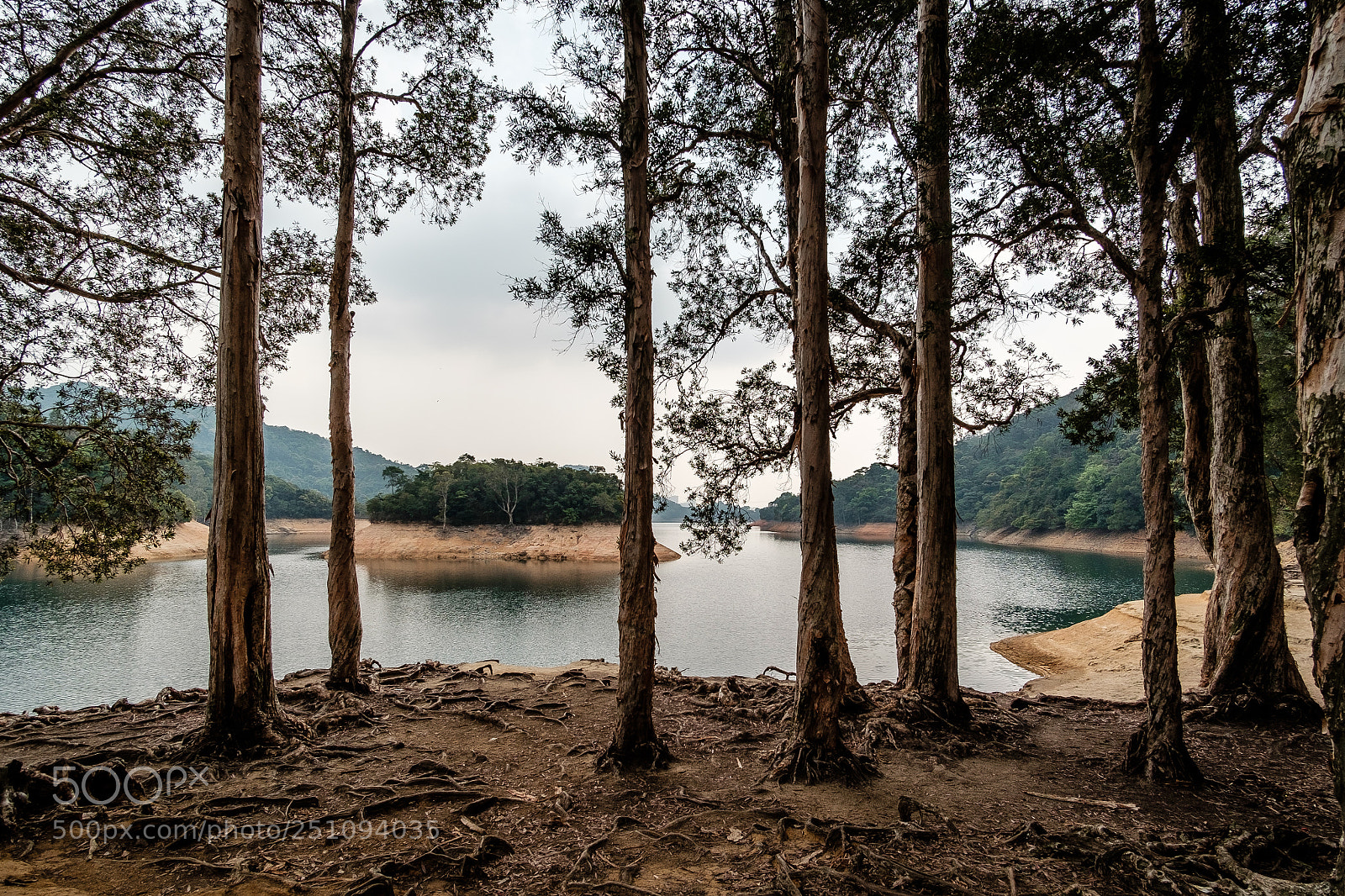 Fujifilm X-T10 sample photo. Shing mun reservoir photography