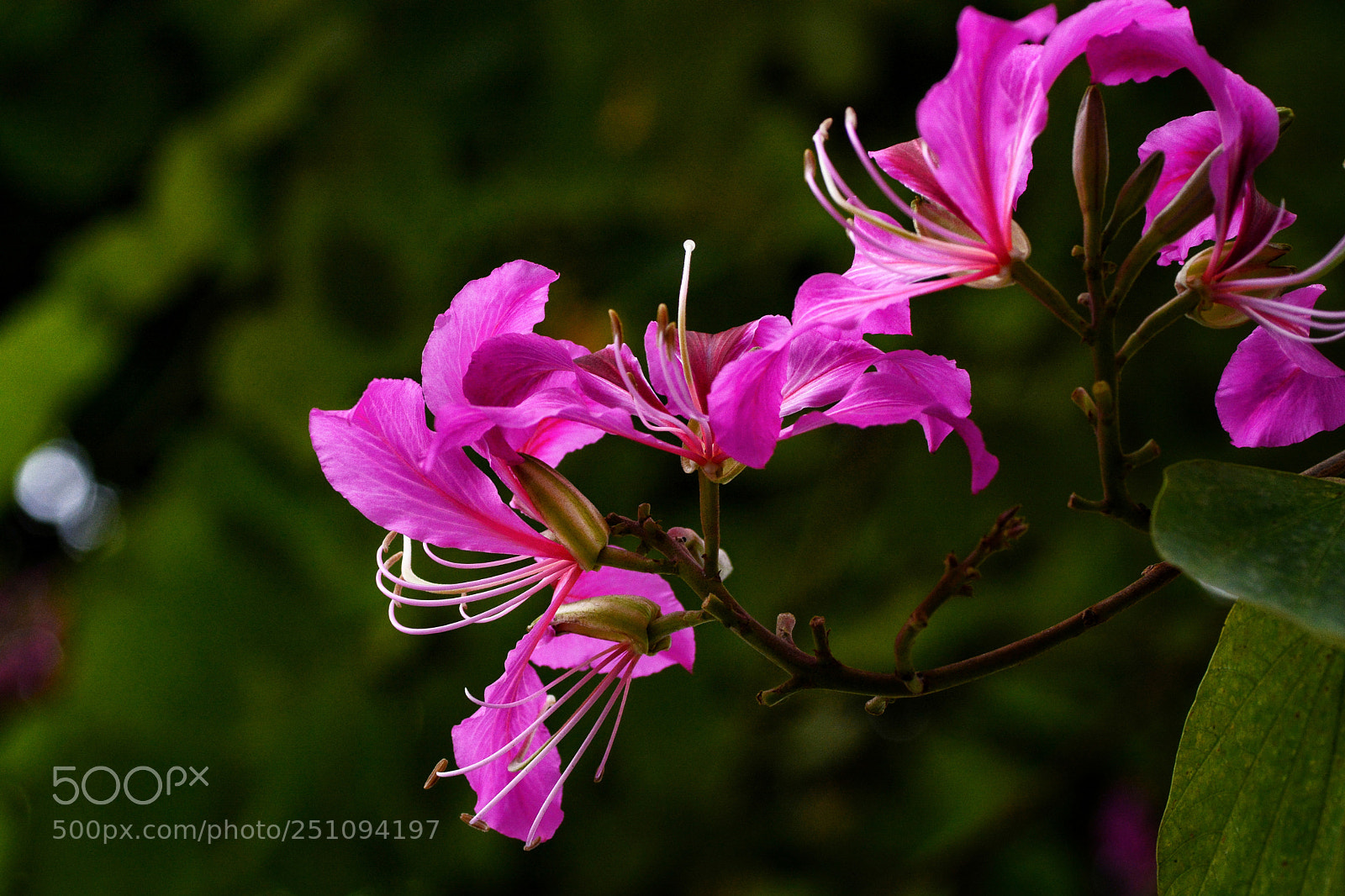 Nikon D7100 sample photo. Untitled photography
