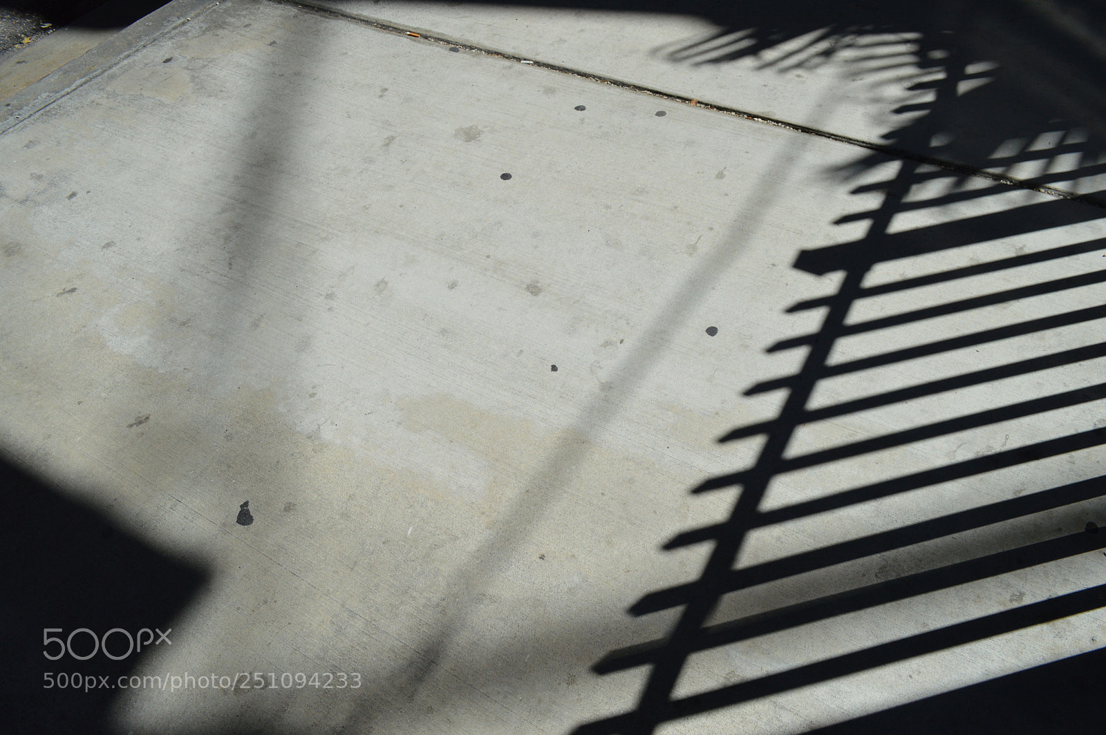 Nikon D3200 sample photo. Fence photography