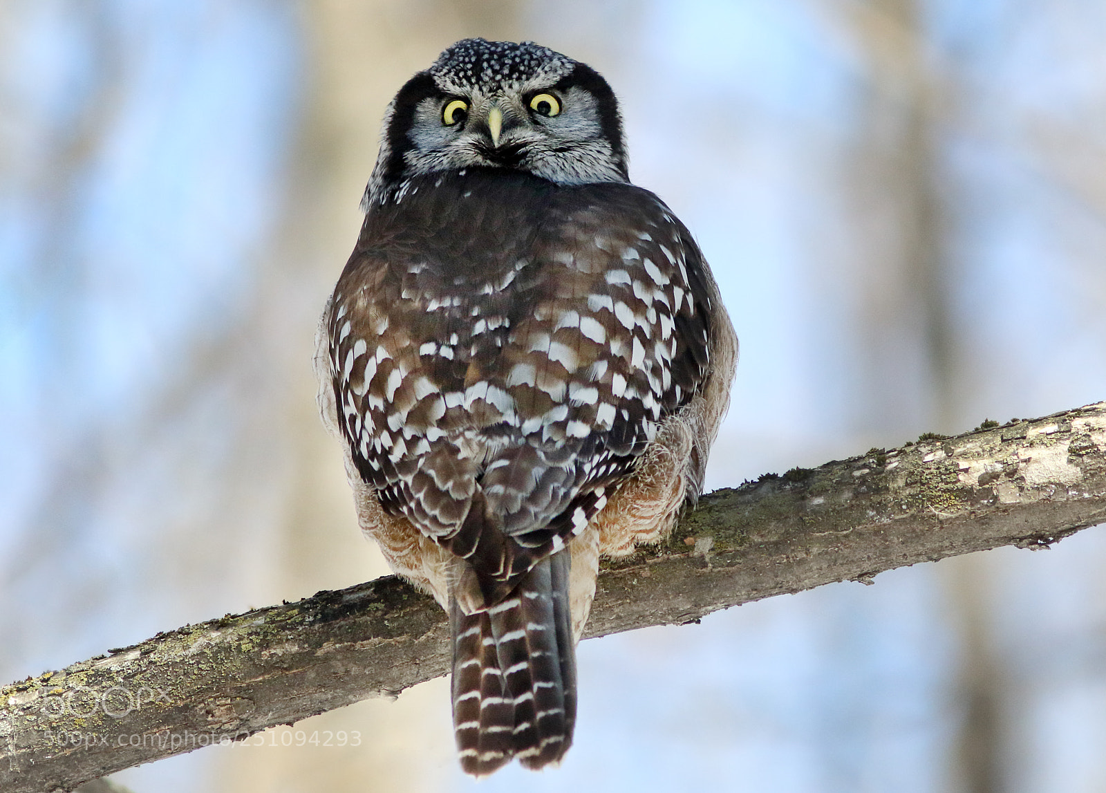 Canon EOS 7D Mark II sample photo. Extreme hindsight photography