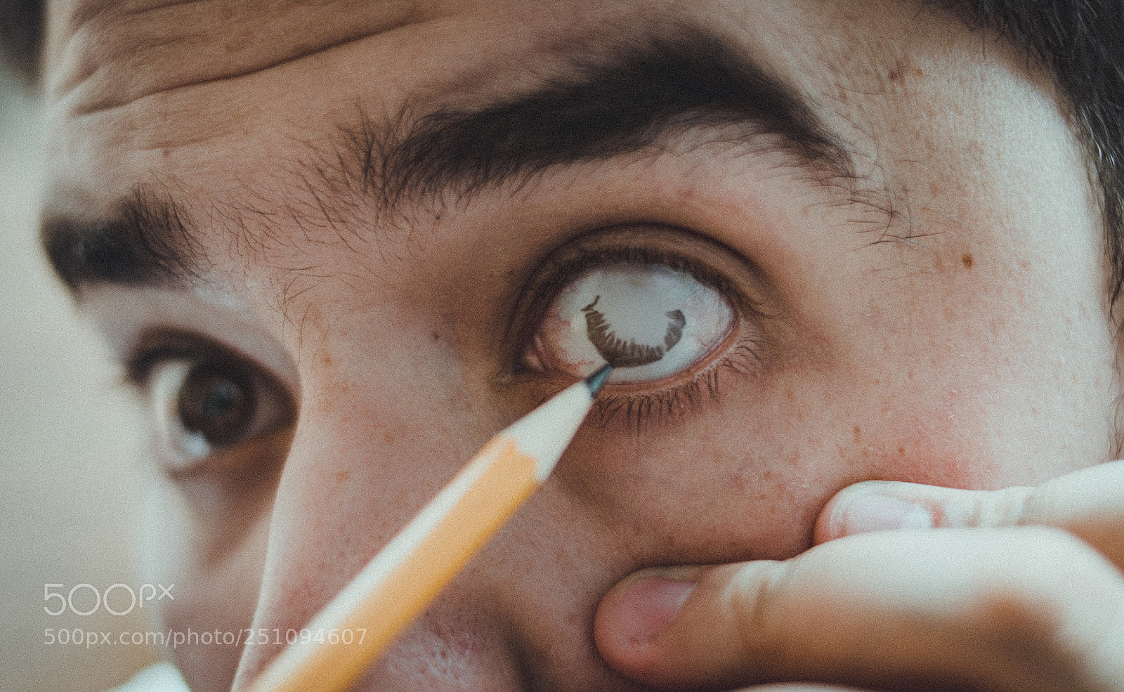 Nikon D5100 sample photo. Draw my eyes photography