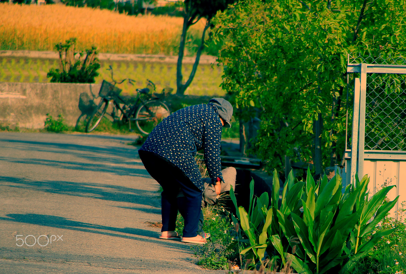 Canon TS-E 90mm F2.8 Tilt-Shift sample photo. 讓我看看.... photography