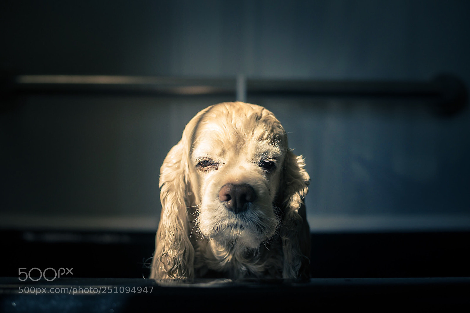 Nikon D800E sample photo. Ruff day photography