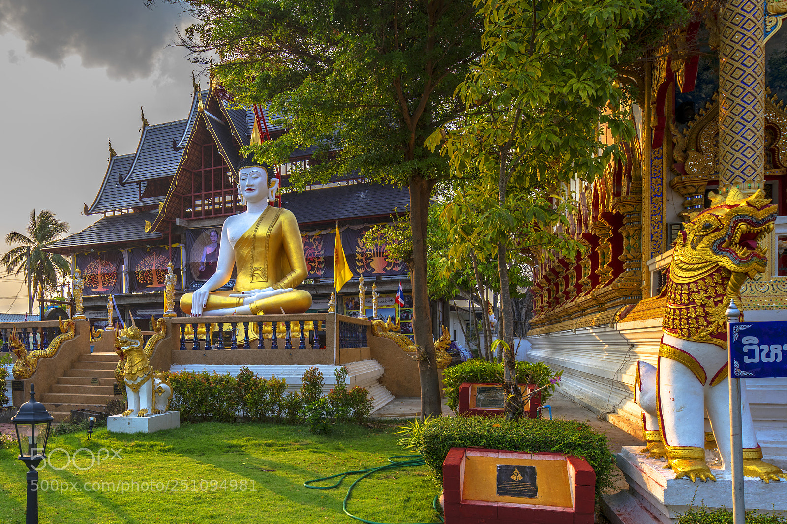 Nikon D850 sample photo. Wat san pu loei photography