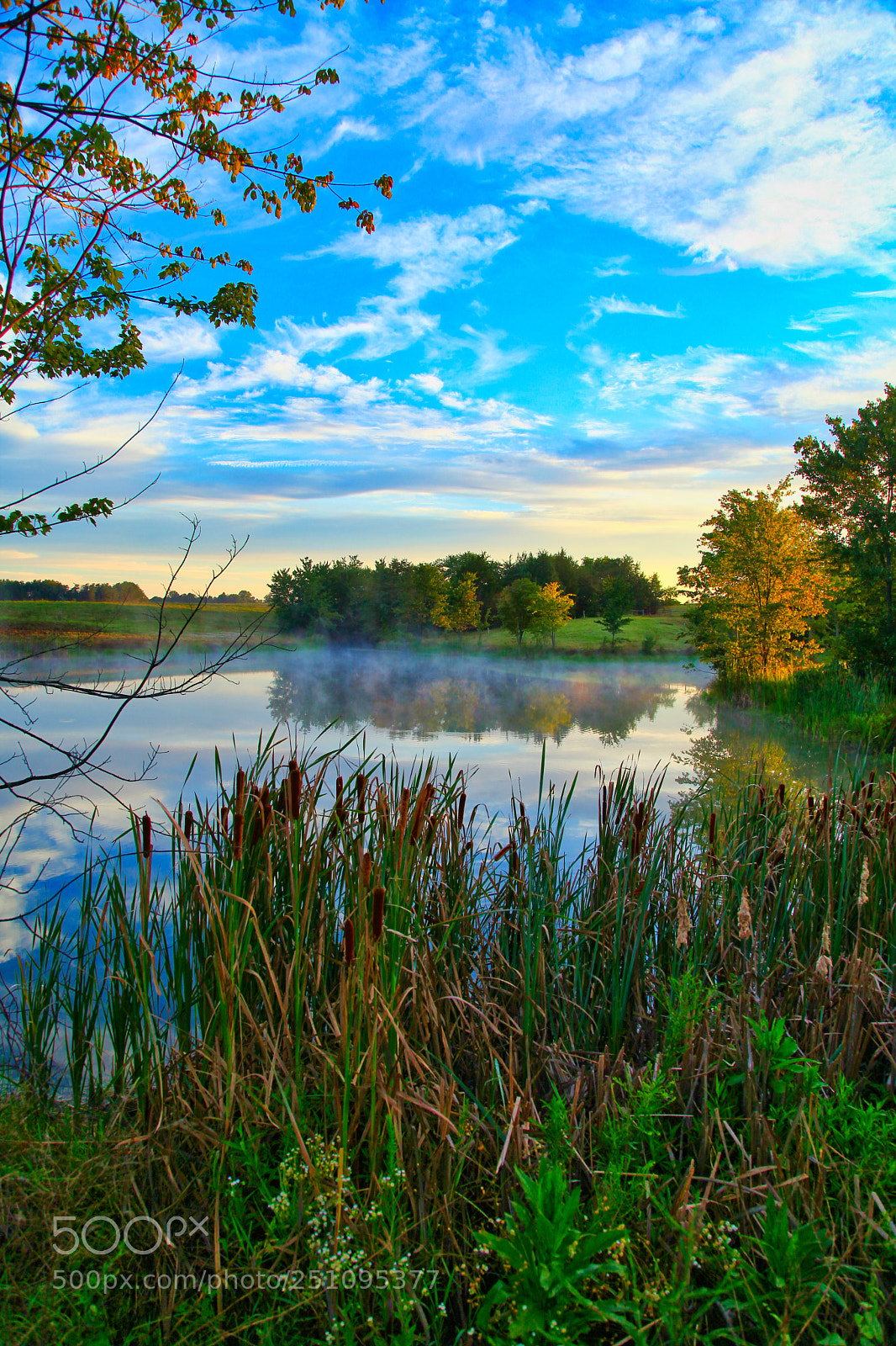 Canon EOS 5D Mark II sample photo. Morning mist photography