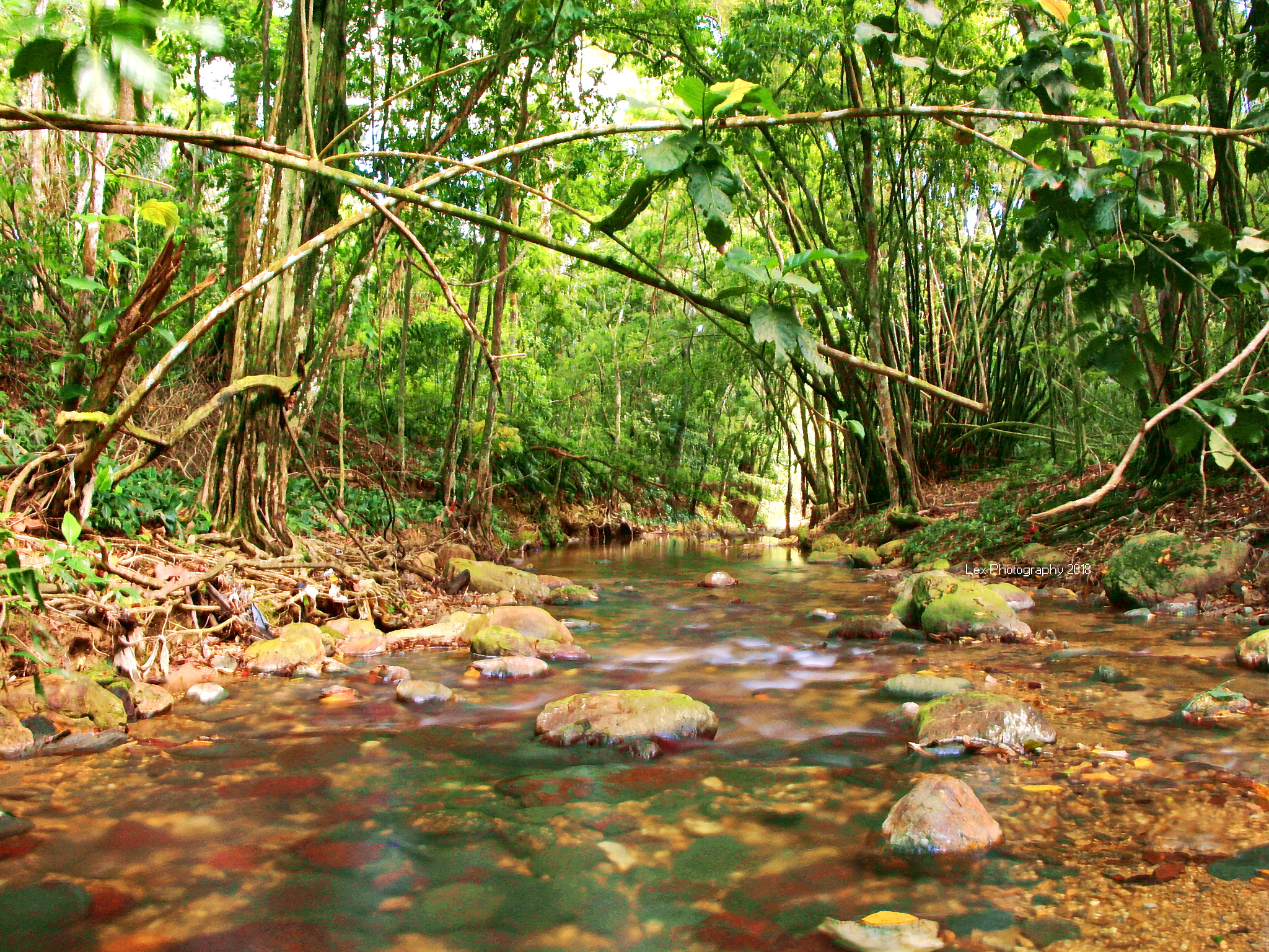 Canon EOS 700D (EOS Rebel T5i / EOS Kiss X7i) sample photo. River art photography