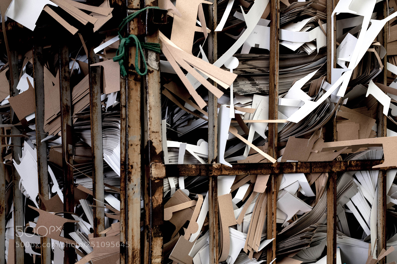 Nikon D850 sample photo. Wasted paper photography