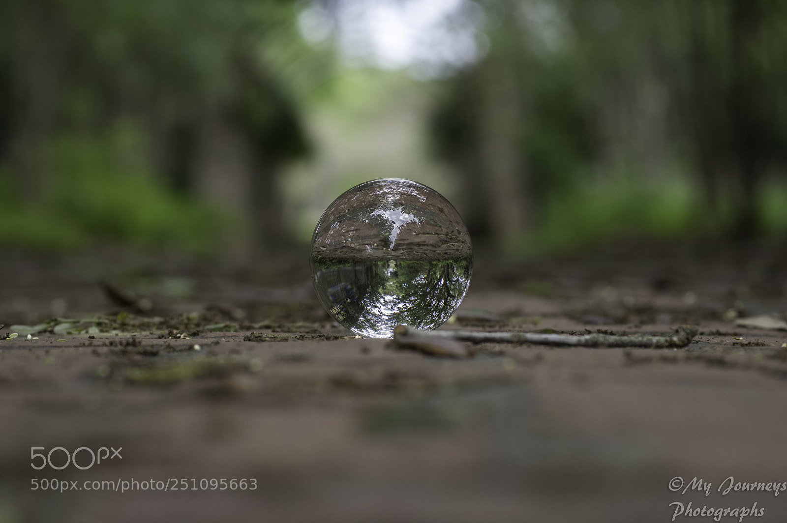 Pentax K-3 sample photo. Along the bricks photography